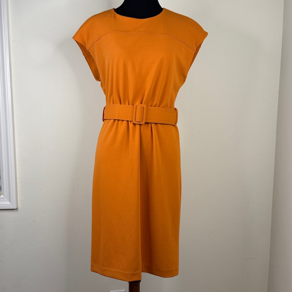 CALVIN KLEIN Belted Sheath Dress in Orange Copper 6